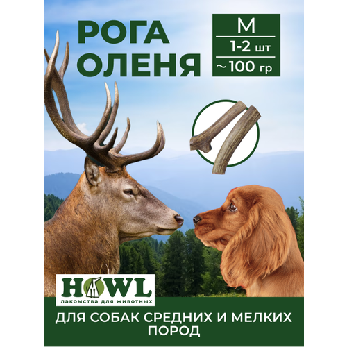 Рога Северного оленя для средних и малых пород собак размер M 15-17 см 200 г Натуральные лакомства для собак HOWL 1448₽