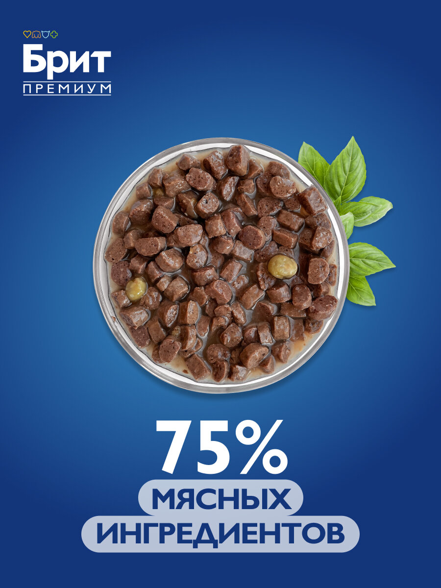 Влажный корм для котят, Телятина и морковь в желе, 85г x 14шт BRIT PREMIUM — фото 1