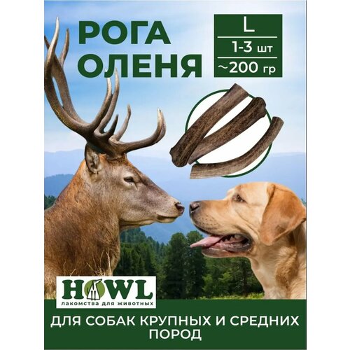 Рога северного оленя для больших и средних пород (размер L, 17-20 см.) 300 гр. HOWL