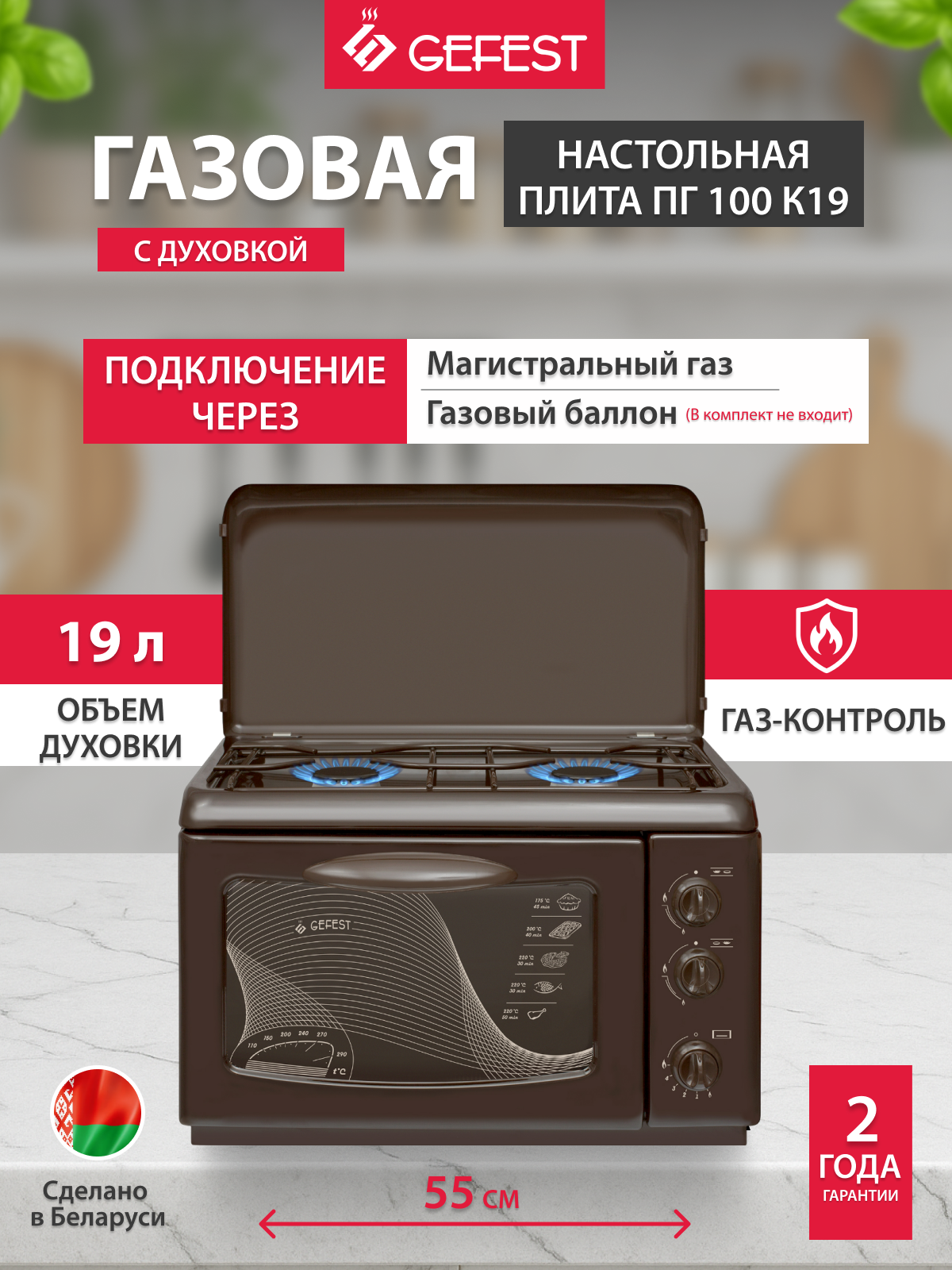 Настольная газовая плита GEFEST ПГ 100 К19, с духовкой, 2 конфорки