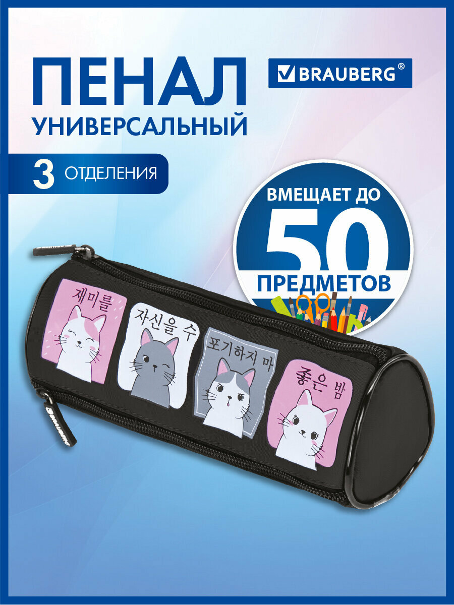 Пенал-косметичка школьный для ручек карандашей Brauberg 3 отделения нейлон 21х7х7см Cat Band 271580