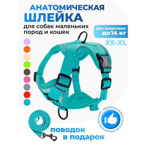 Шлейка прогулочная для собак и кошек регулируемая Wonder Pet / размер XL / бирюзовая