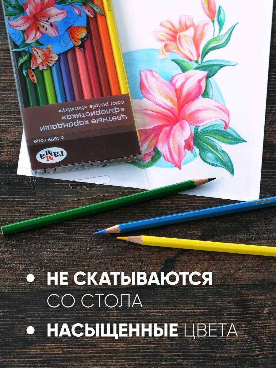 Цветные карандаши "Хобби. Флористика", Гамма, 12 шт, проклеенные грифели, шестигранный корпус — фото 1