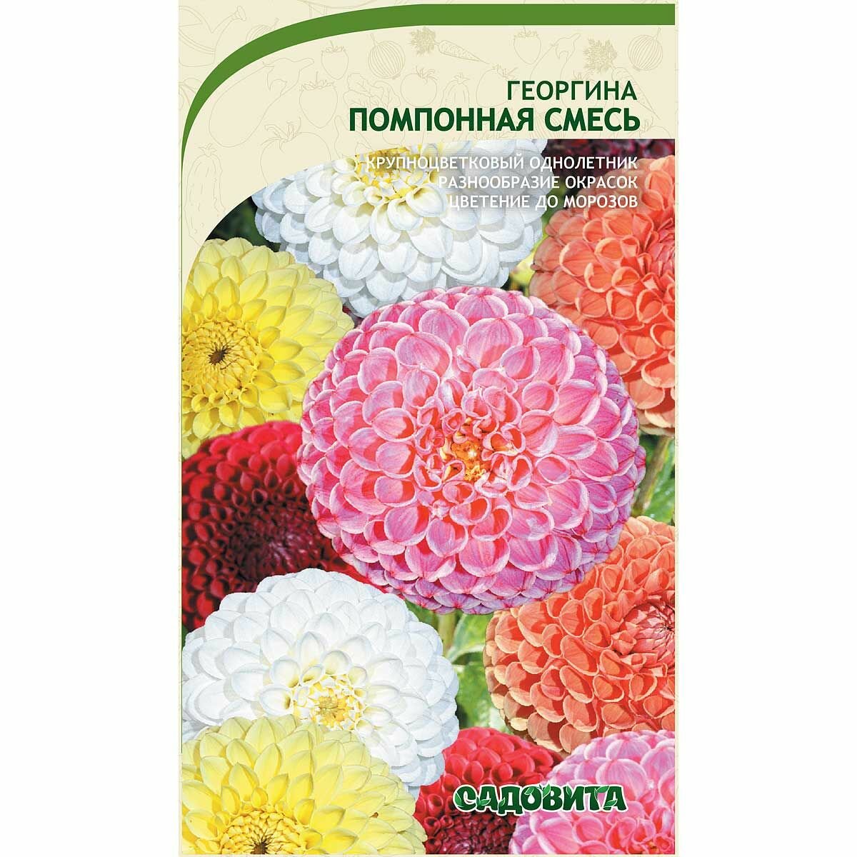 Георгина Помпонная смесь 02 г Садовита