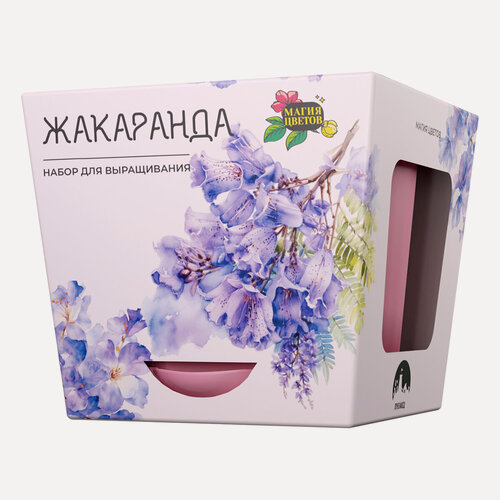 Изображение товара Магия Цветов Набор для выращивания растений Жакаранда mf-019-NU19 - домашний комплект