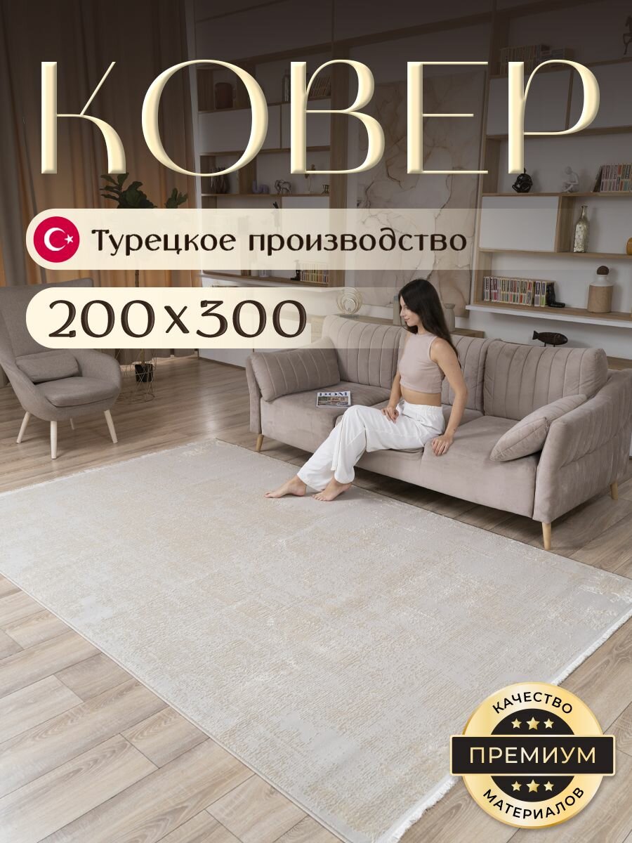 Ковер для комнаты на пол 200х300 см BARKS