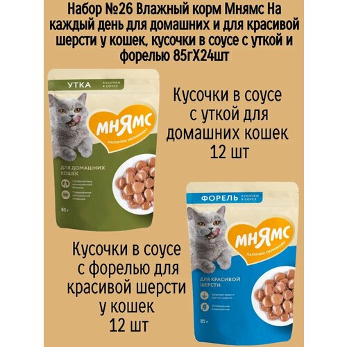 Набор №26 Влажный корм Мнямс для домашних кошек, кусочки в соусе с уткой и форелью, 24 шт х 85 гр