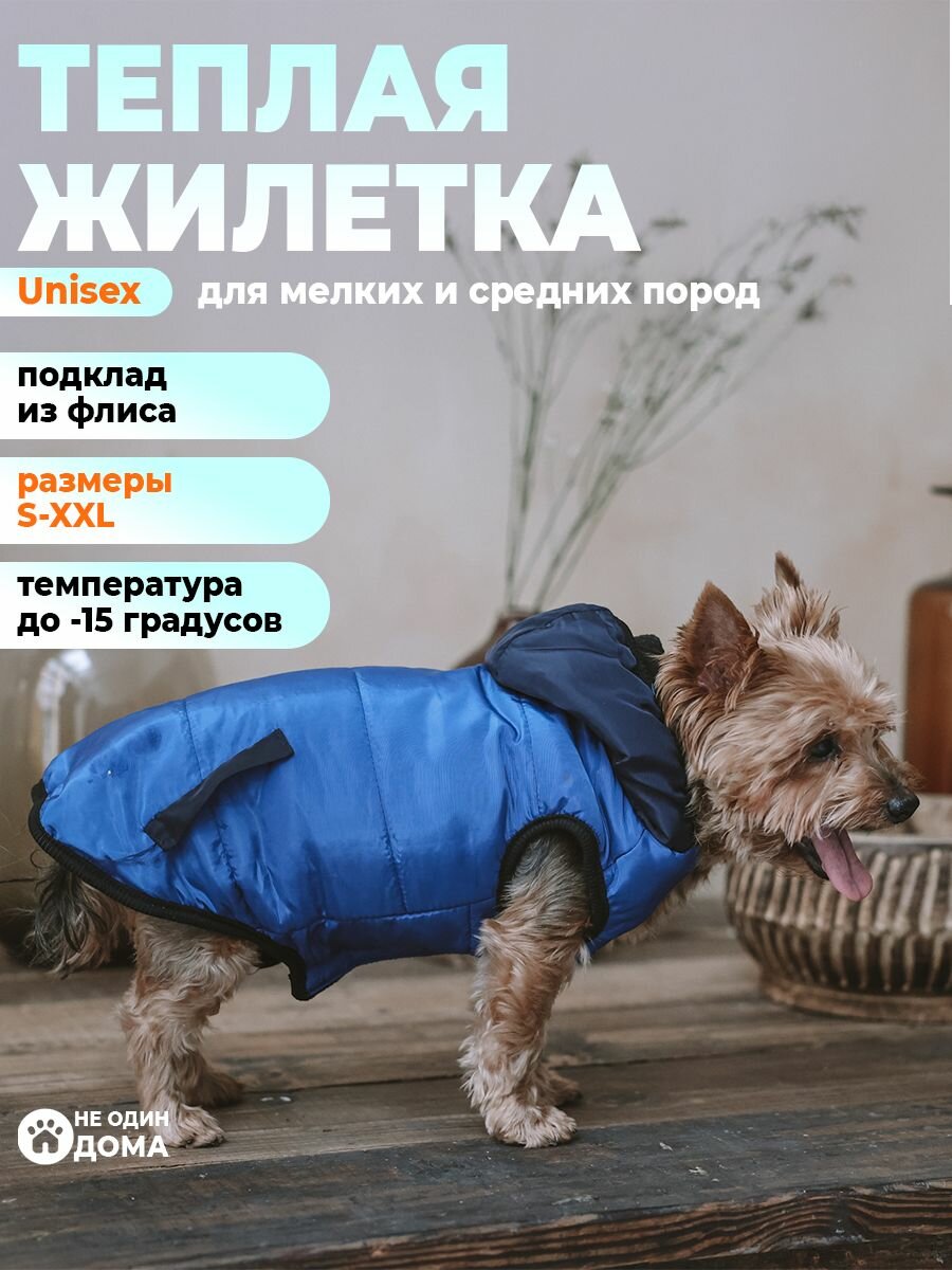 Жилетка/жилет для собак, одежда для собак, "Не Один Дома" Blue, синий, XL, длина спинки - 45 см