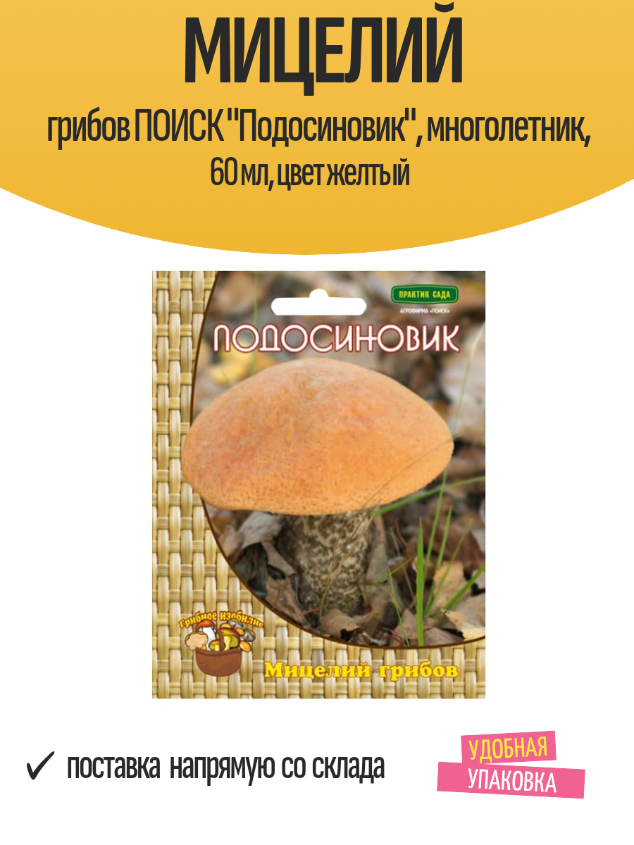 Мицелий грибов поиск 
