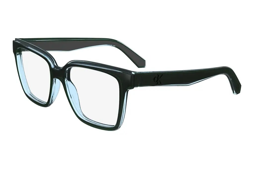 Оправа CALVIN KLEIN JEANS CKJ24619 300 (53-17)