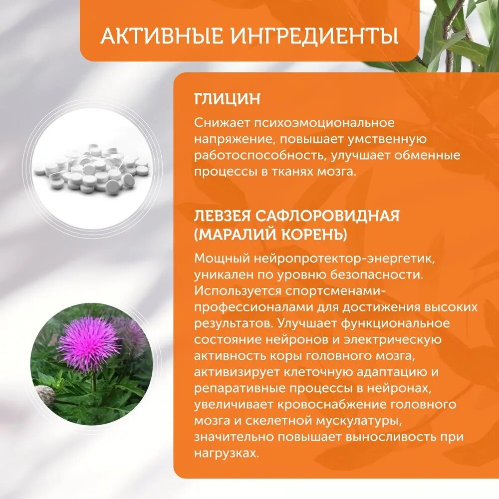 Изображение Bio8 БАД Ноотроп для мозга, памяти, внимания, ежовик гребенчатый, рейши, глицин и витамин В6, 60 капсул