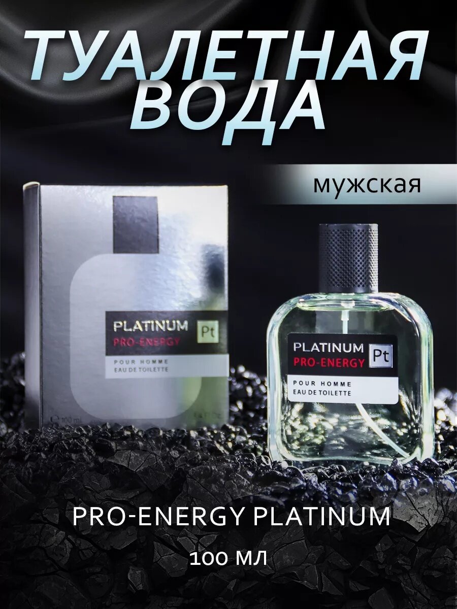 Туалетная вода мужская Pro-Energy Platinum, 100 мл, фужерный аромат