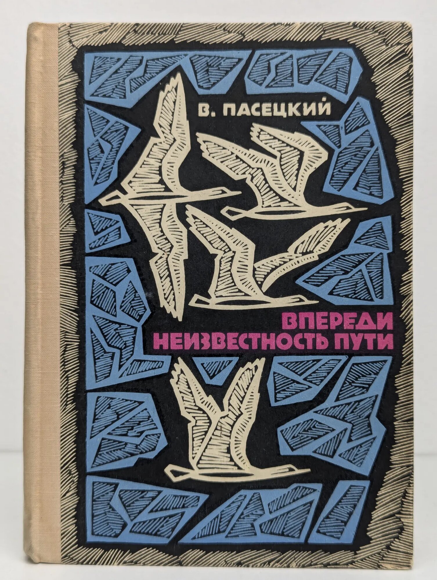 Впереди неизвестность пути Пасецкий Василий Михайлович 1969