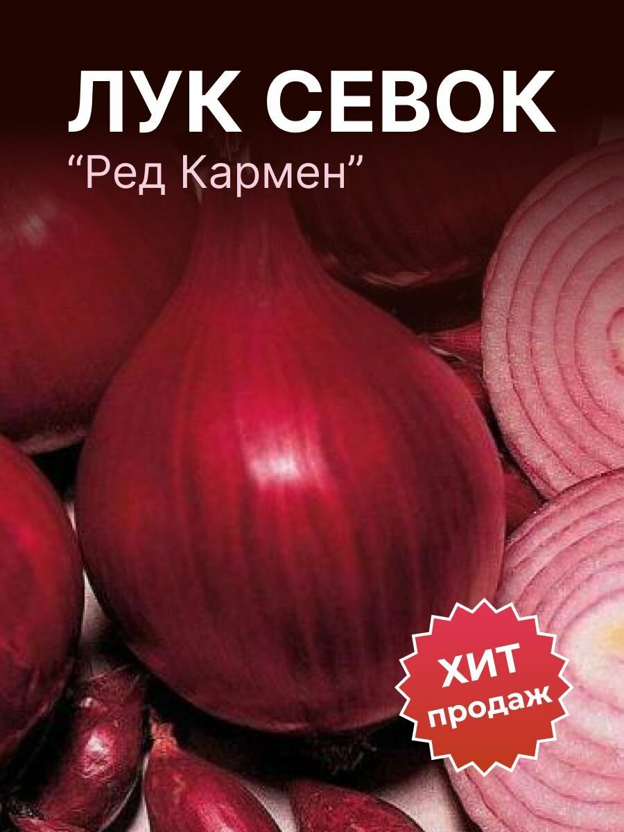 Лук севок на посадку красный Ред Кармен 500гр
