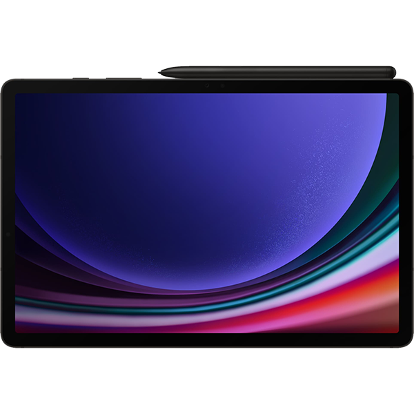 Samsung Galaxy Tab S9 (2023) 12/256Gb Wi-Fi Graphite (Графит)