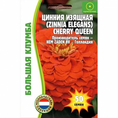 Цинния Cherry Queen изящная (Zinnia elegans) Большая клумба