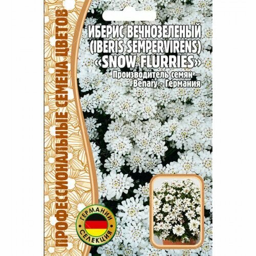 Иберис вечнозеленый 