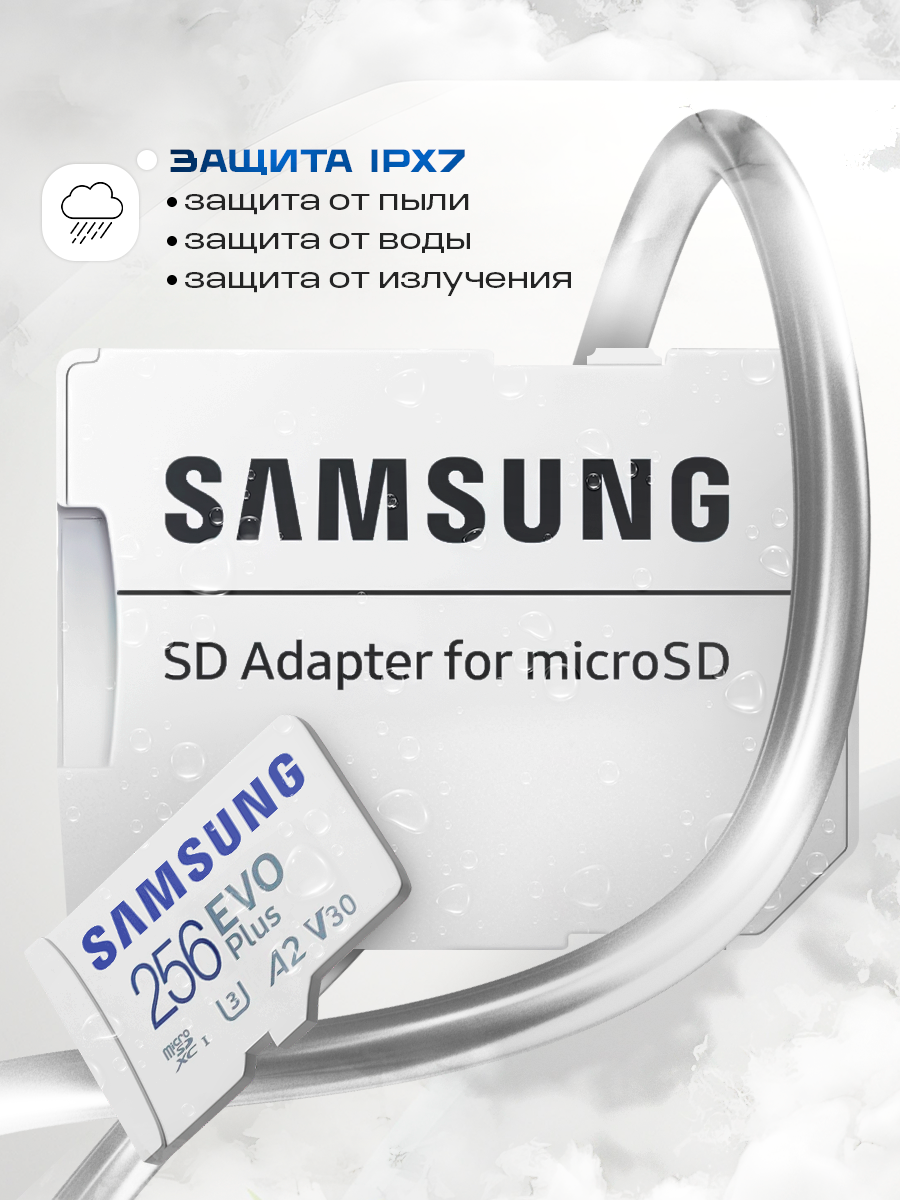 Карта памяти Micro SD Samsung EVO Plus 256 ГБ class 10 (MB-MC256SA) — фото 1