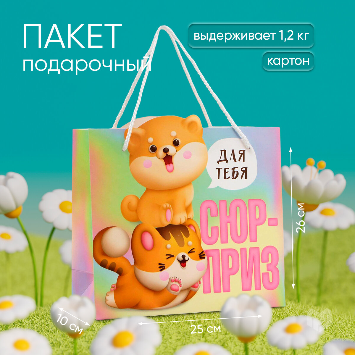 Пакет подарочный «Сюрприз», 25 × 26 × 10 см, для упаковки подарка