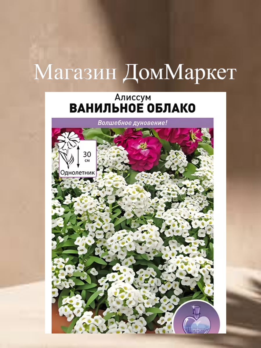 Алиссум Ванильное облако Семена цветы Алиссум Ванильное Облако однолетик