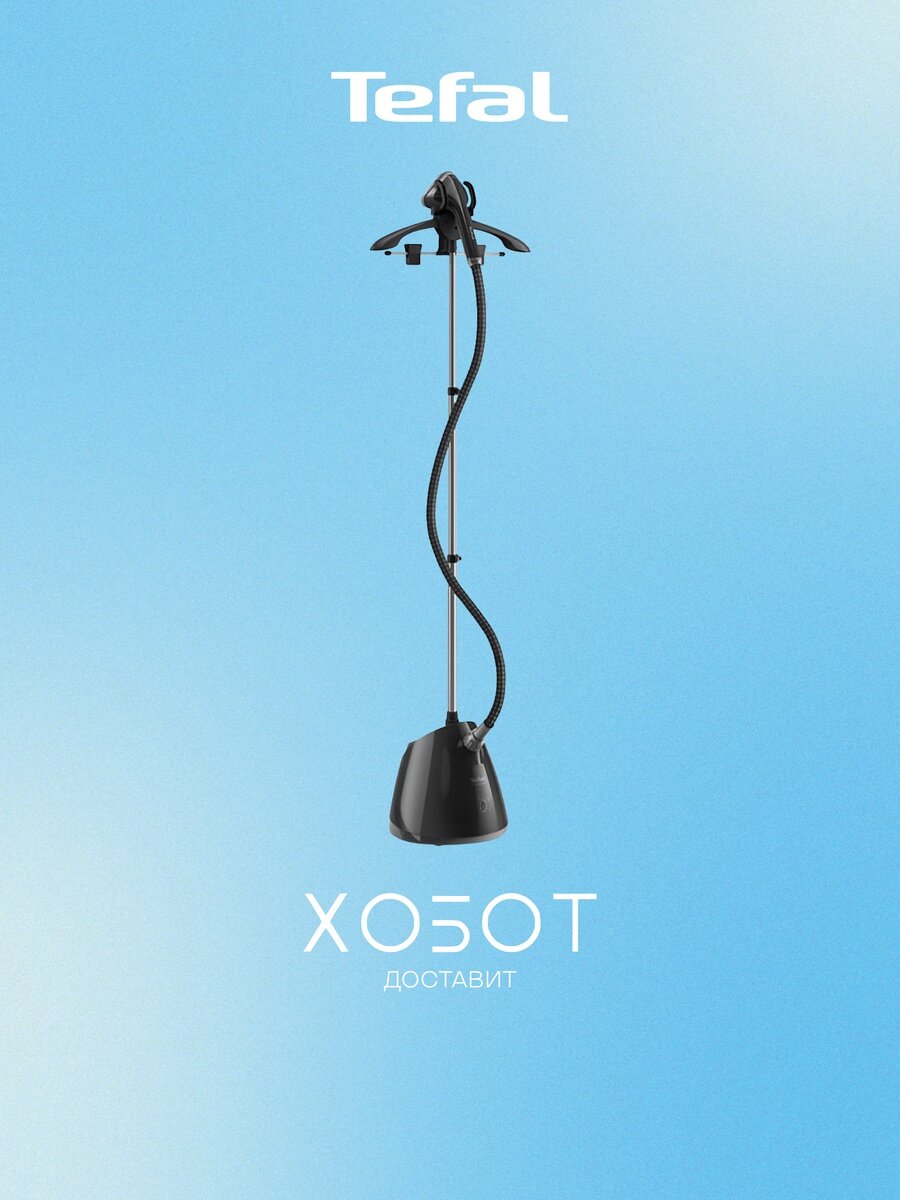 Отпариватель для одежды Tefal IT2461E0