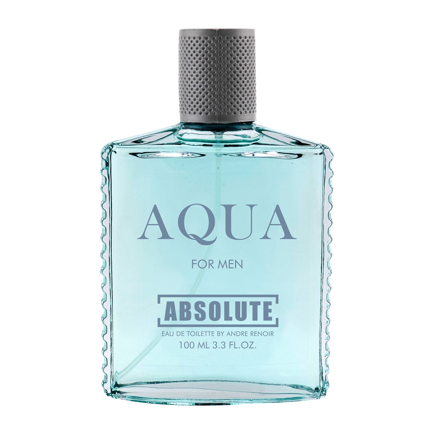 Туалетная вода ABSOLUTE Aqua Today Parfum, для мужчин, 100 мл
