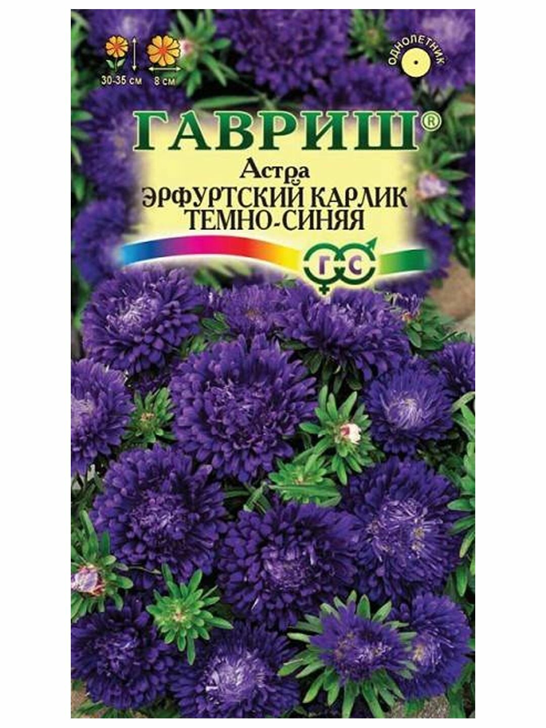 Семена Астра Эрф. карлик Темно-синяя однолетник цветной пакет Гавриш 1 пачка - 0.3г семян