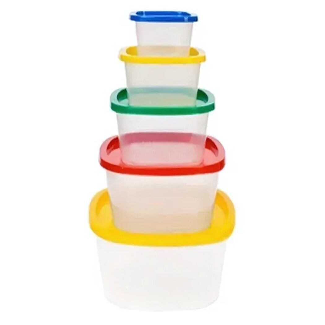 Набор контейнеров 'BioFresh' для хранения продуктов 5 штук герметичные крышки 0.23-2.65л пластик