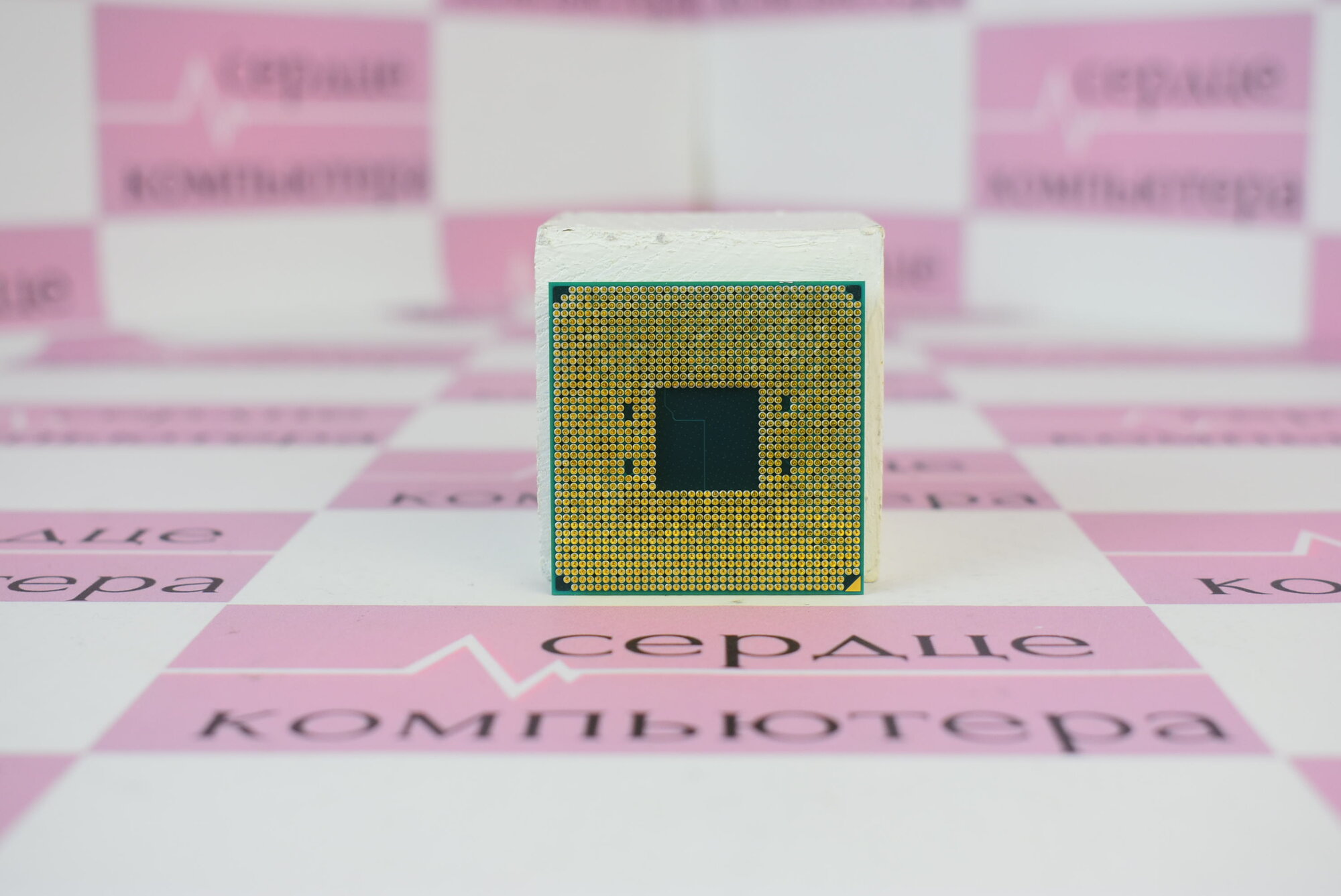 Процессор AMD Ryzen 5 5600GT, AM4, OEM, DDR4, 3600Mhz, L3 16Mb — фото 1