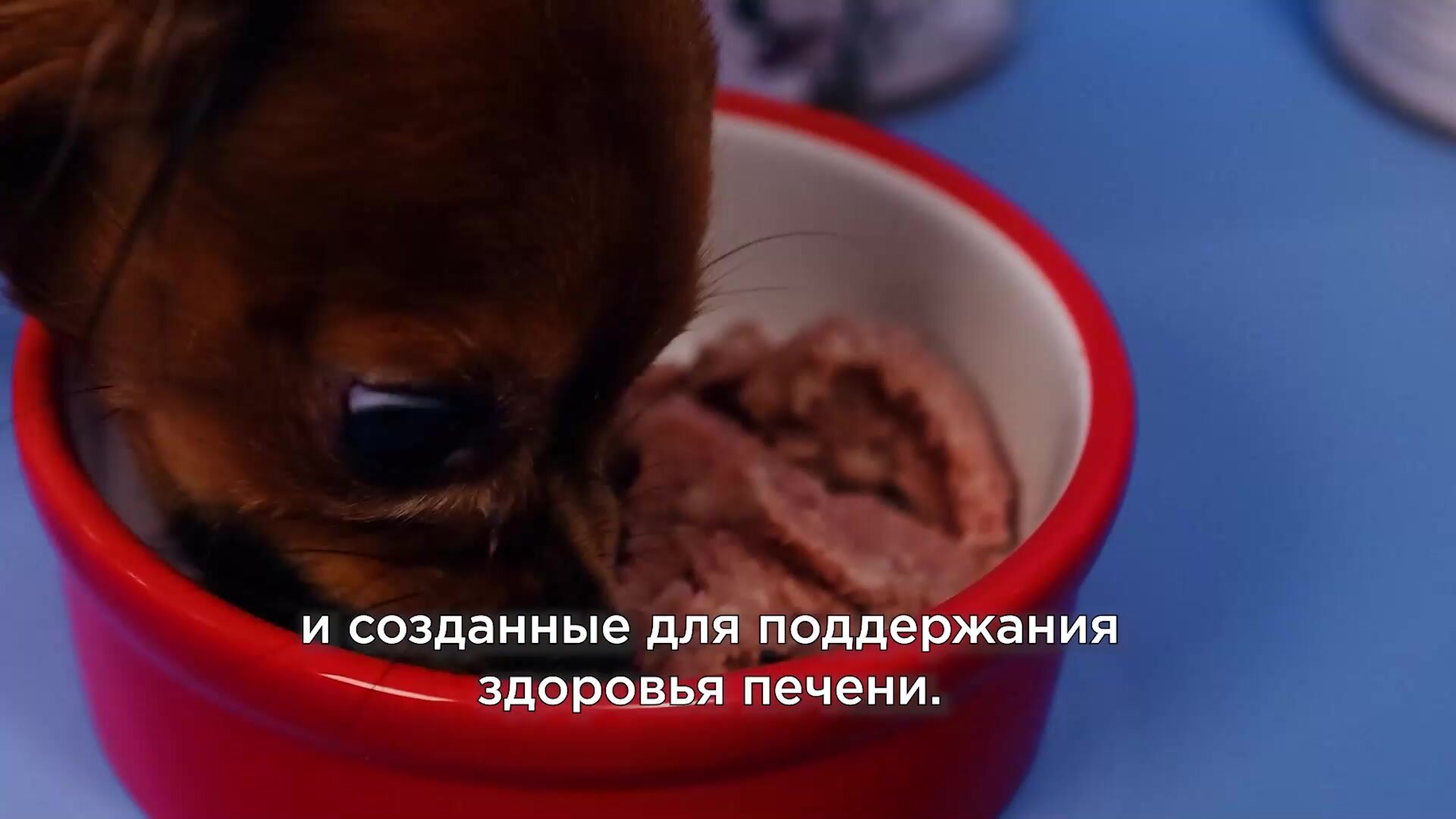 Organix Preventive Line Hypoallergenic сухой корм для собак "Гипоаллергенный", 2,5 кг — фото 1