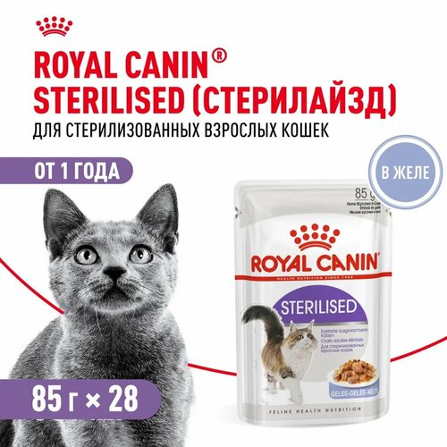 Royal Canin Sterilised пауч для кастрированных котов и стерилизованных кошек (кусочки в желе) Мясо, 85 г. упаковка 28 шт