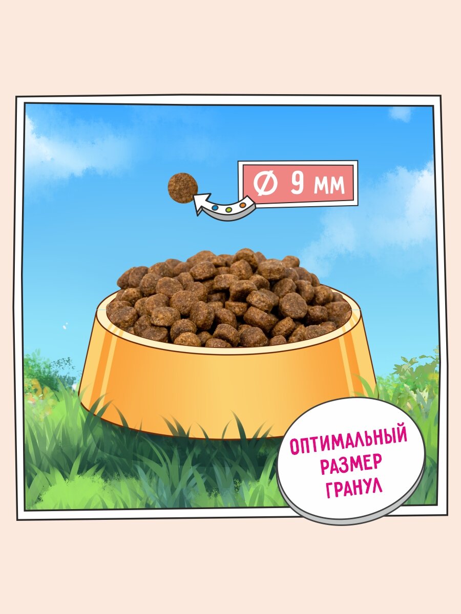 Корм сухой для щенков 800 г, гипоаллергенный ZILLII (Зилли) Puppy, Индейка с Ягнёнком — фото 1