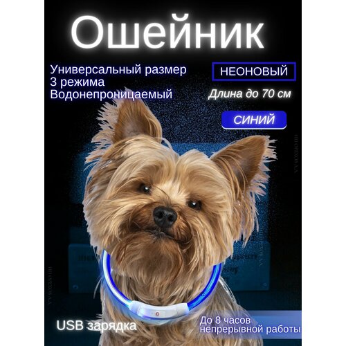 Светящийся ошейник для собак, регулируемый размер, Синий