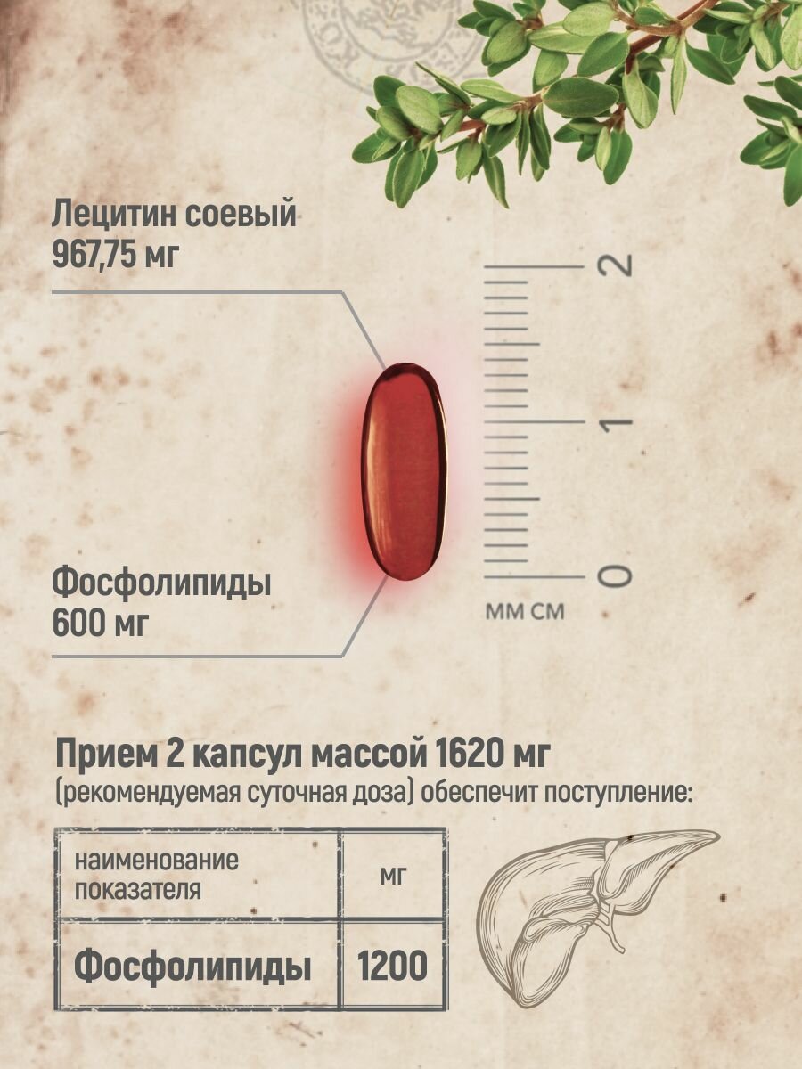 MedCraft Соевый лецитин, фосфолипиды для печени, 60 капсул — фото 1