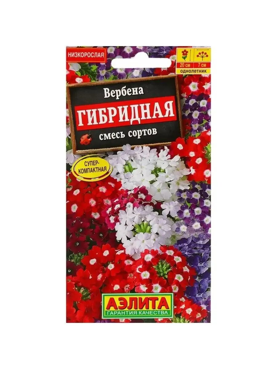 Семена Цветов Вербена 