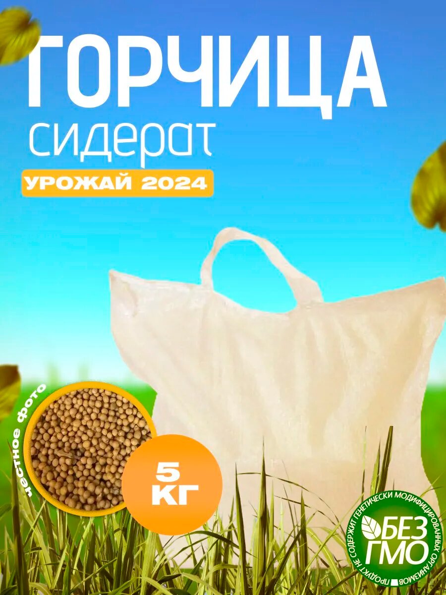 Семена горчицы белый сидерит для посева  5 кг