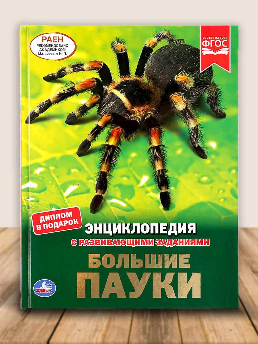 Энциклопедия Пауки, Умка, с развивающими заданиями и дипломом, для детей старше 3-х лет