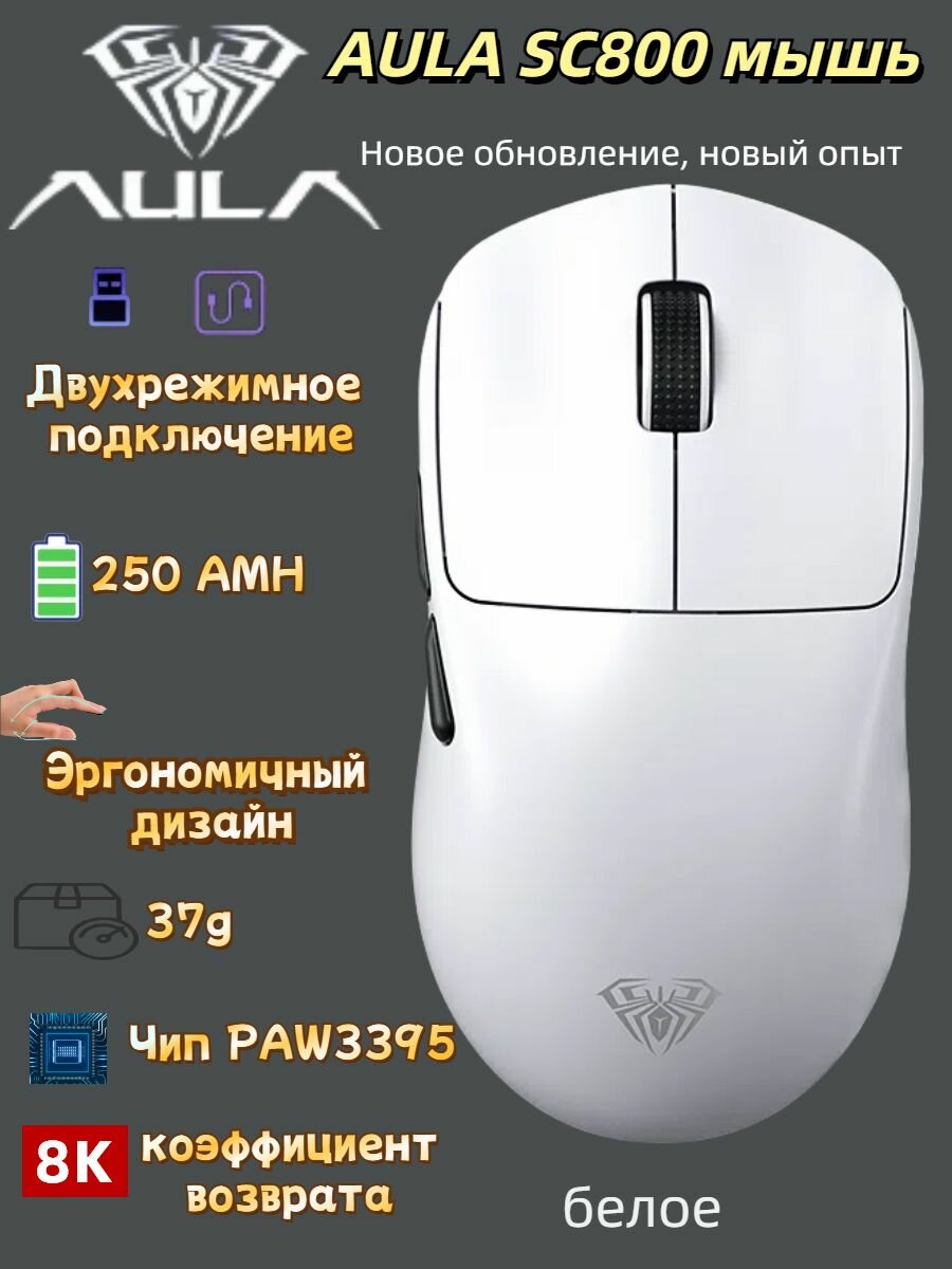 Мышь