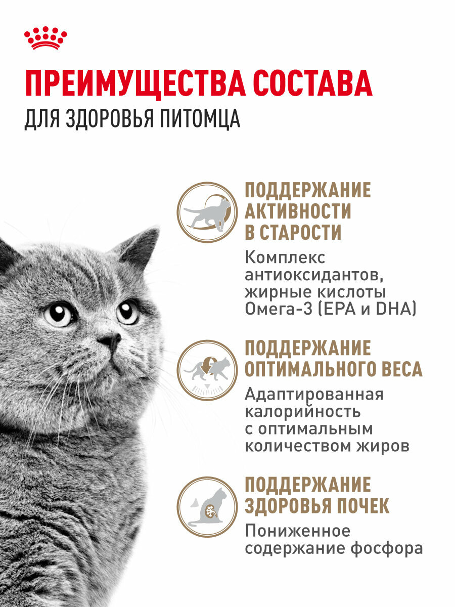 Сухой корм для стерилизованных кошек Royal Canin Sterilised Ageing 12+, 0,4 кг — фото 1