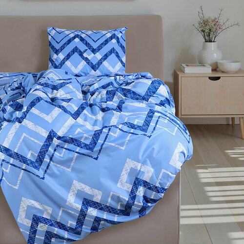 Постельное бельё 15сп Экономь и Я 150225см 150225см 5070см-1шт 60гм2 микрофибра 1622₽