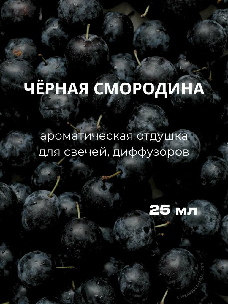 Ароматическая отдушка "Черная Смородина" 25 мл