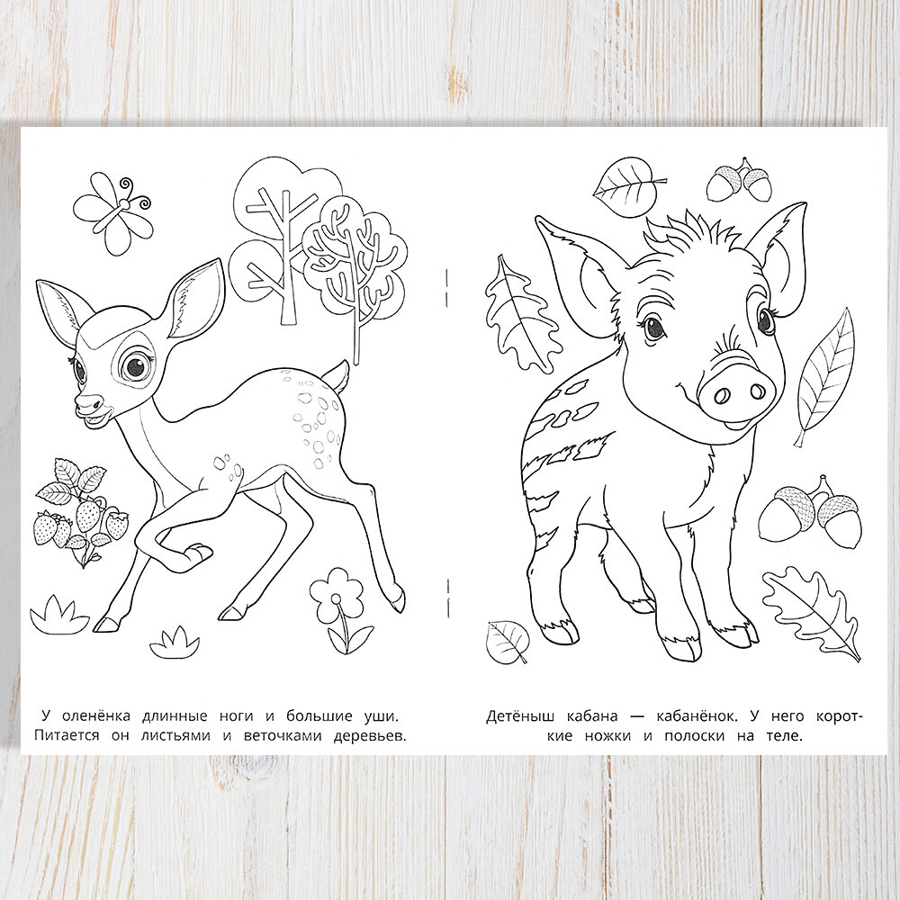 Раскраска для детей Лесные животные, Умка, 16 страниц, формат А5 — фото 1