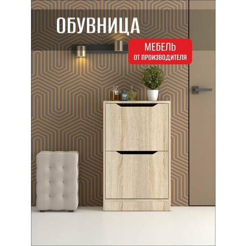 фото Обувница узкая для прихожей прима, 2 ящика, дуб сонома, 50х24х81 см фабрика мебели династия
