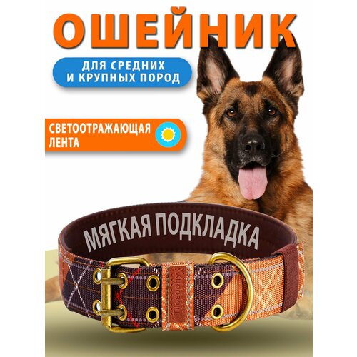 Ошейник для собак крупных и средних пород шотландская клетка М