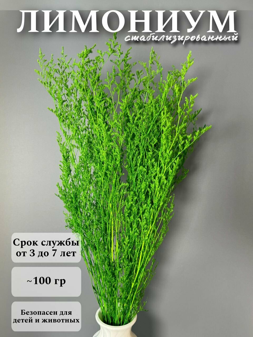Лимониум стабилизированный сухоцвет для декора