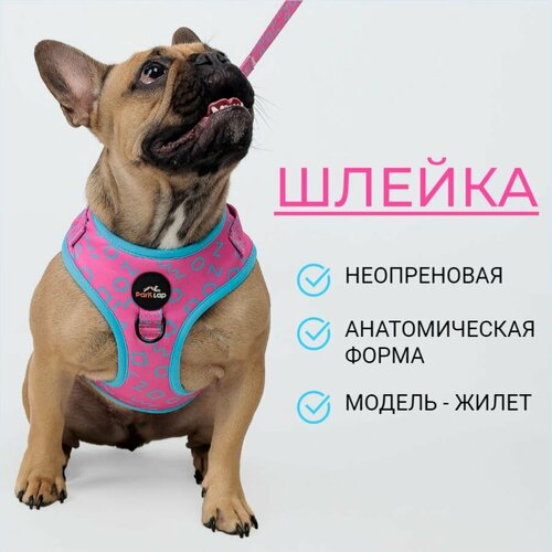 Неопреновая анатомическая шлейка, Барб, XS