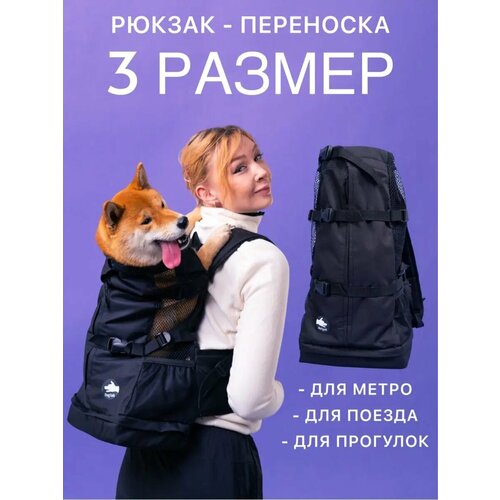 Рюкзак для собаки