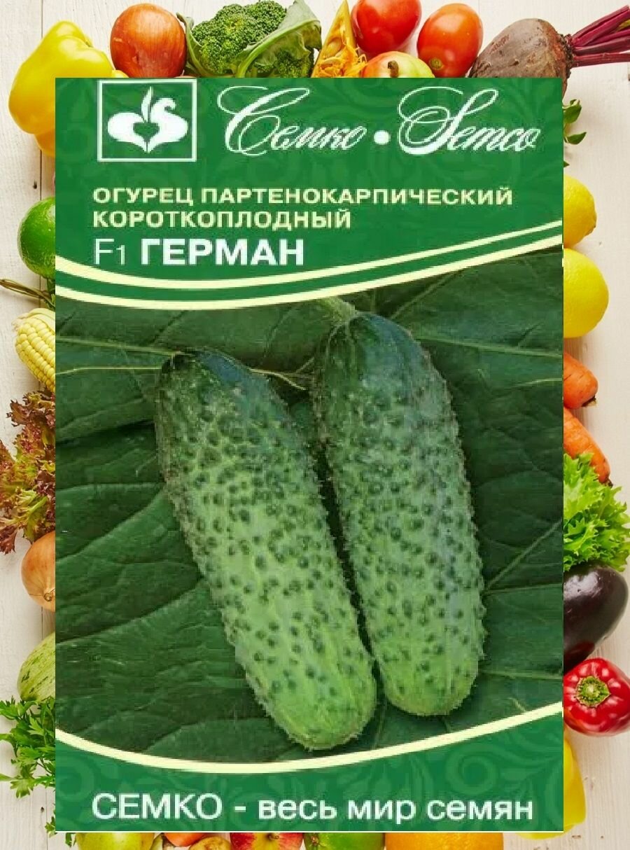 Огурец Герман 5 семян/ Семко