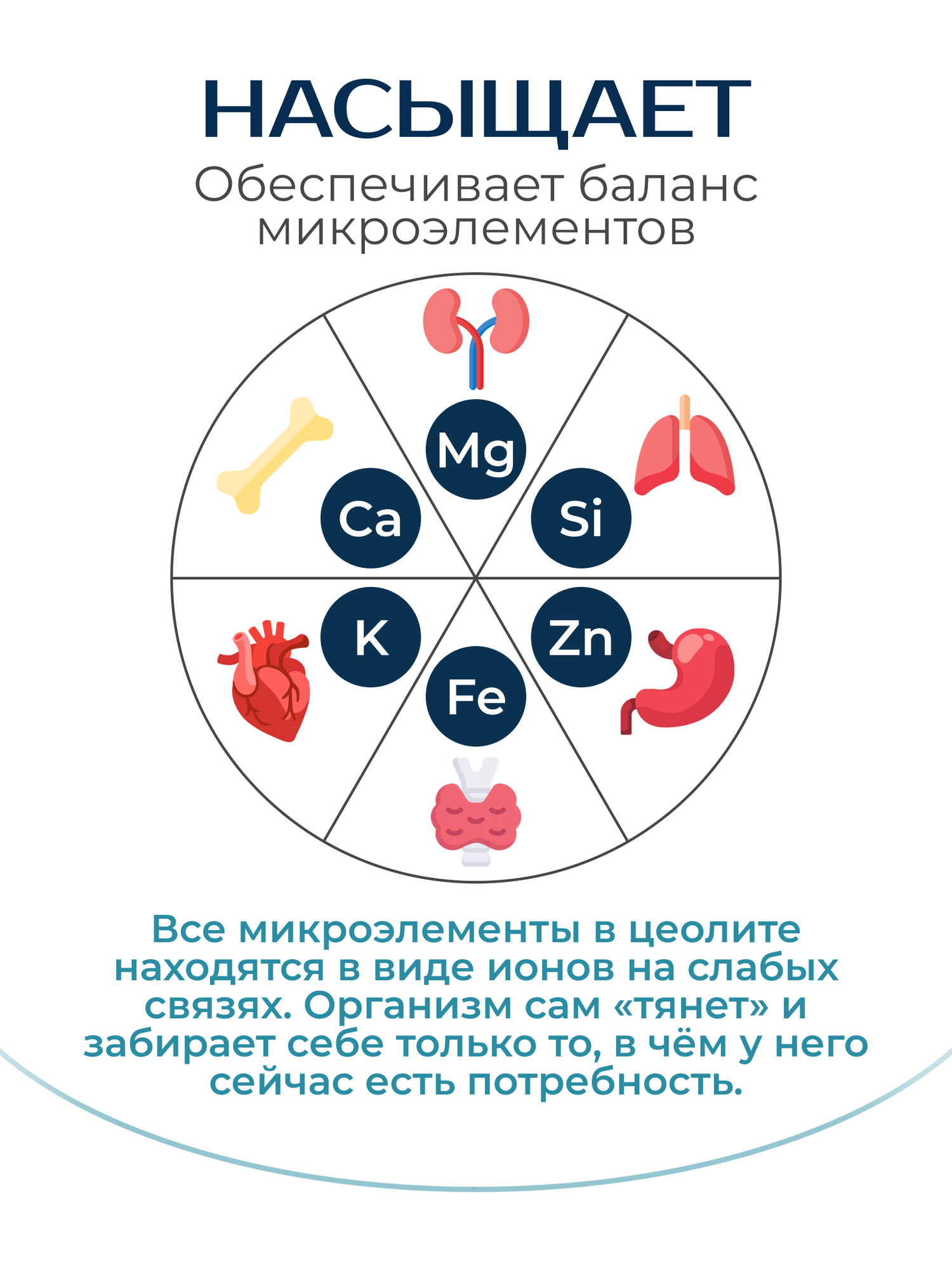 Сорбенты Минесорб 1 кг, армянский ЦЕОЛИТ пищевой сорбент очищение кишечника детокс для похудения