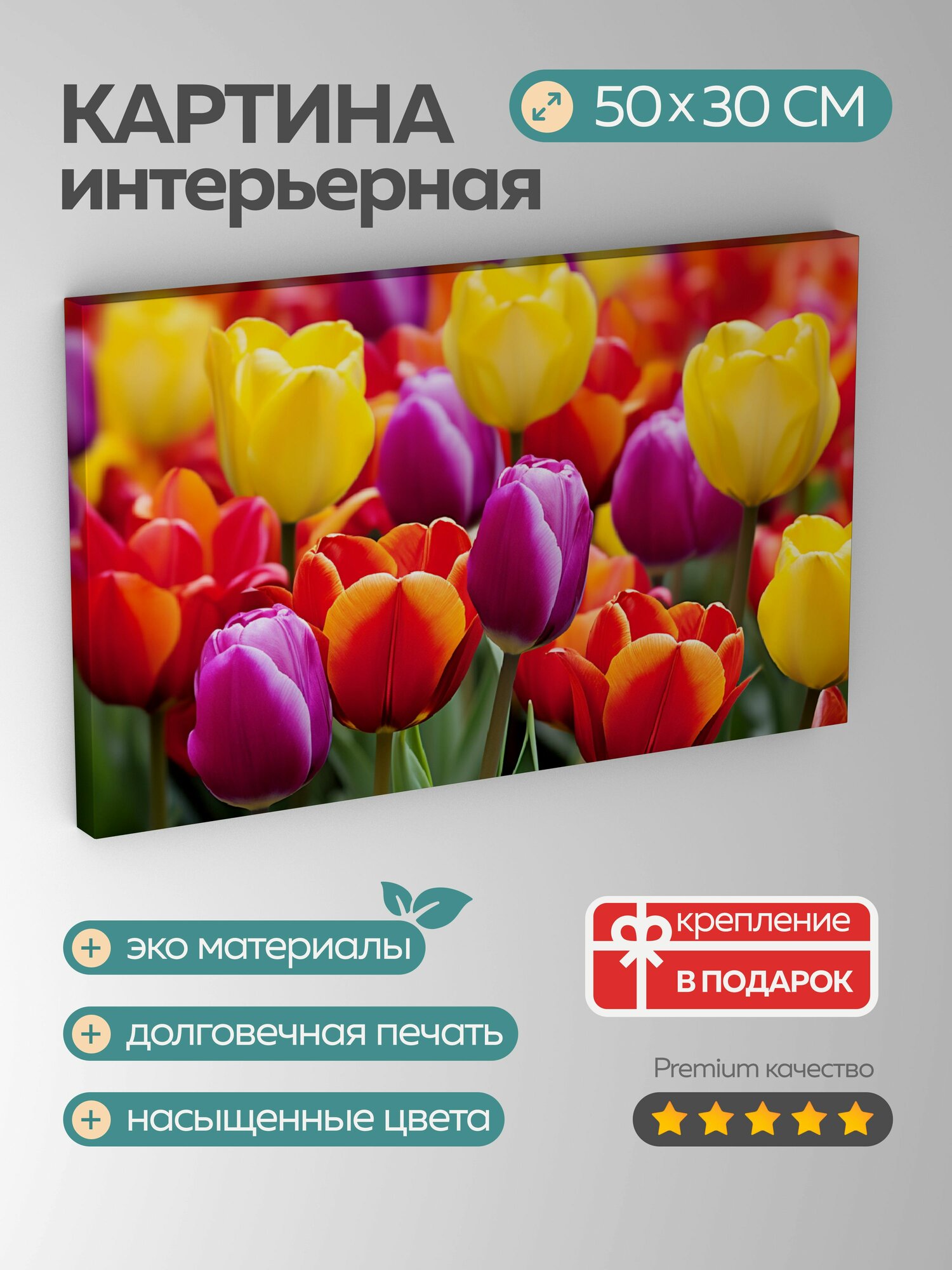Картина на холсте интерьерная 50х30 см тюльпаны поле цвета визуальное зрелище красный желтый фиолетовый глубина